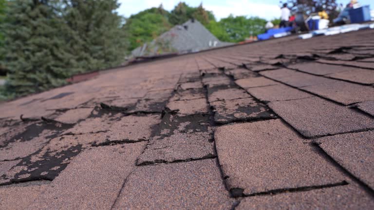 Best Asphalt Shingles Roofing  in Desloge, MO