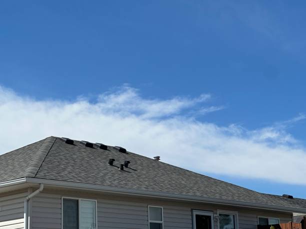 Best Emergency Roof Repair Services  in Desloge, MO